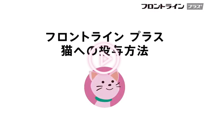 公式】フロントライン プラス｜犬・猫のノミ・マダニ駆除薬